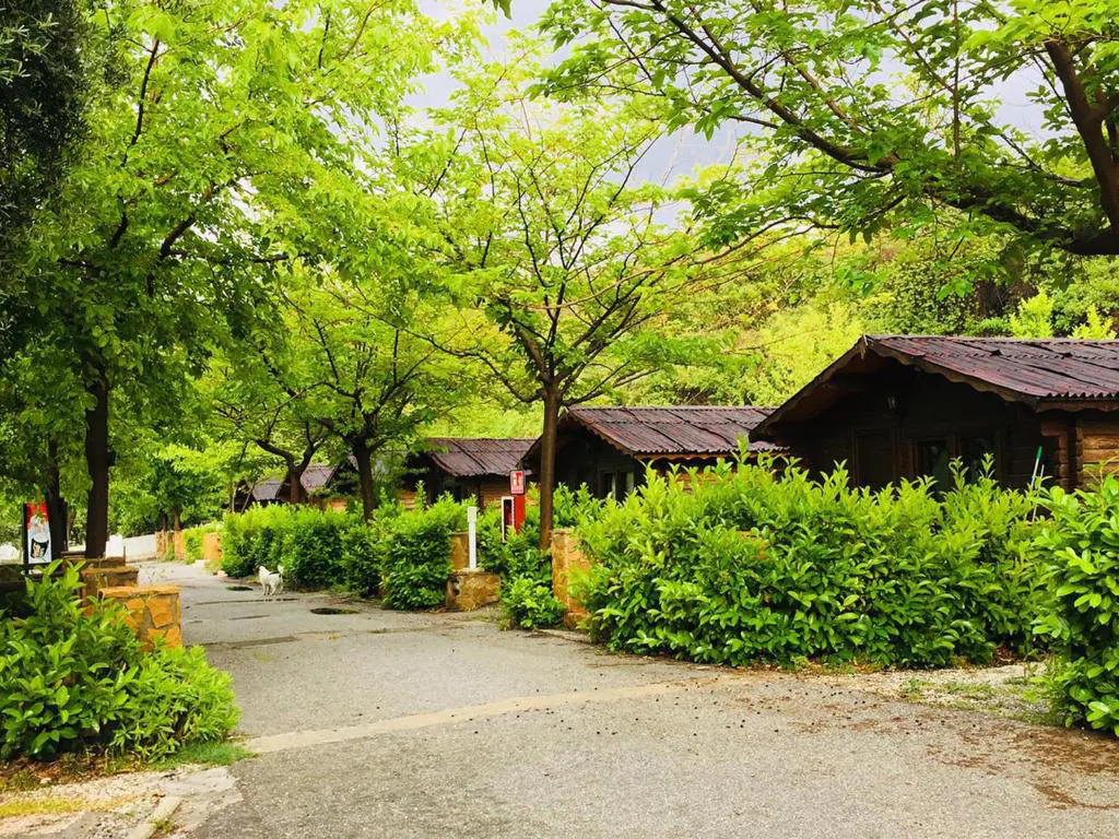 Fuentedellobo Glamping y Bungalow en Sierra Nevada vista exterior de bungalows fuentedellobo 01